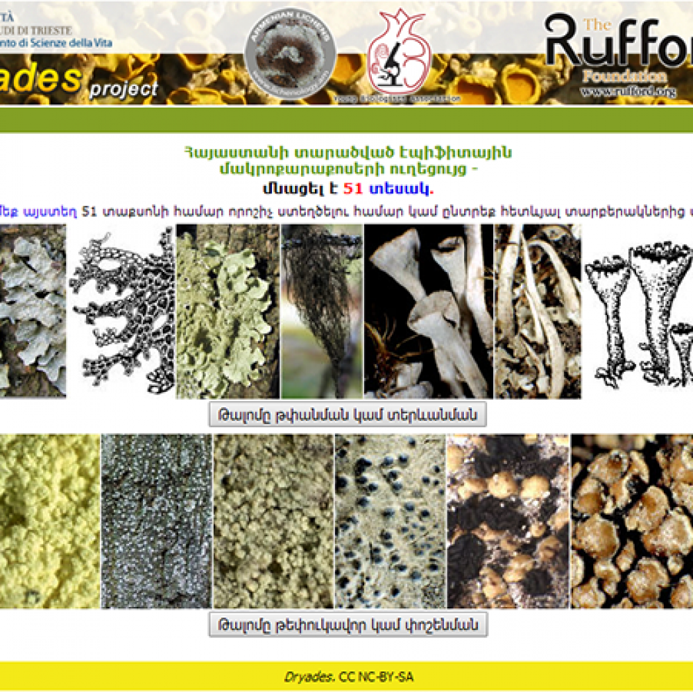 New guide to common epiphytic macrolichens of Armenia is available